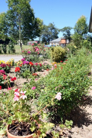 Jardins